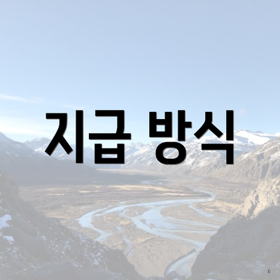 지급 방식