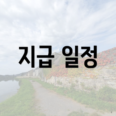 지급 일정