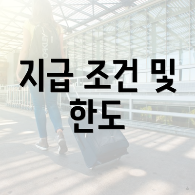 지급 조건 및 한도