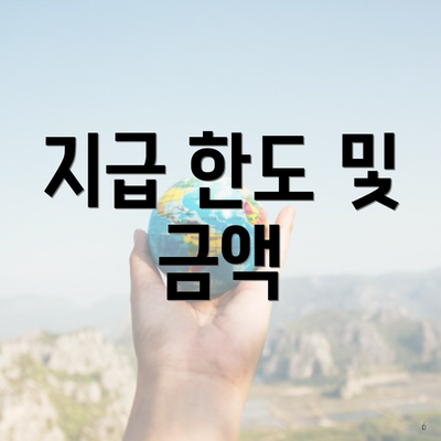 지급 한도 및 금액