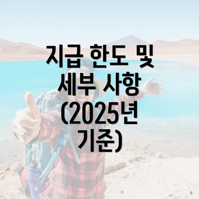 지급 한도 및 세부 사항 (2025년 기준)