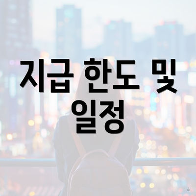 지급 한도 및 일정