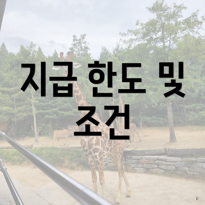 지급 한도 및 조건