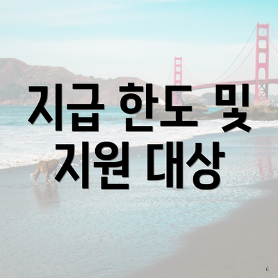 지급 한도 및 지원 대상