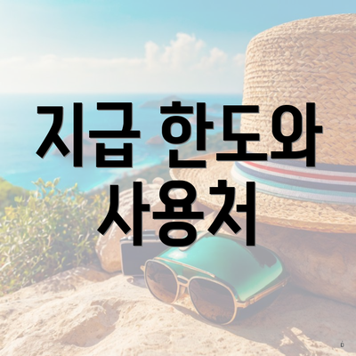 지급 한도와 사용처