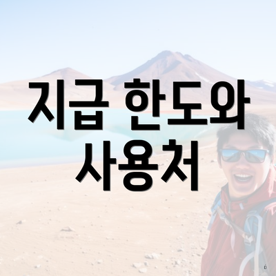 지급 한도와 사용처