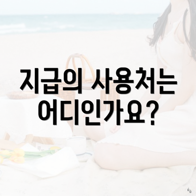 지급의 사용처는 어디인가요?