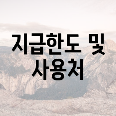 지급한도 및 사용처