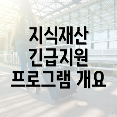 지식재산 긴급지원 프로그램 개요