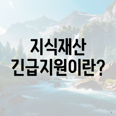지식재산 긴급지원이란?
