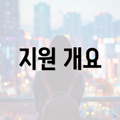 지원 개요