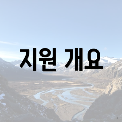 지원 개요