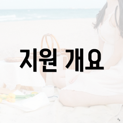 지원 개요