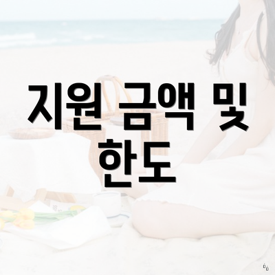 지원 금액 및 한도