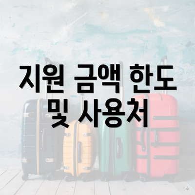 지원 금액 한도 및 사용처