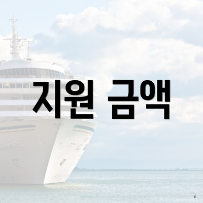 지원 금액