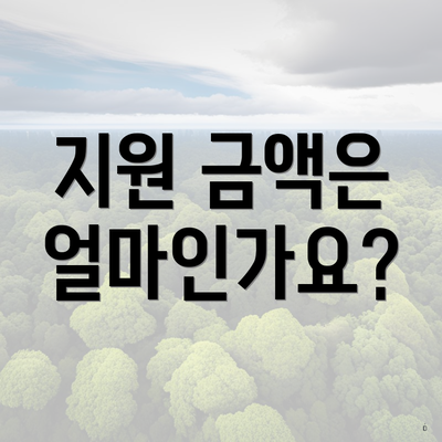 지원 금액은 얼마인가요?