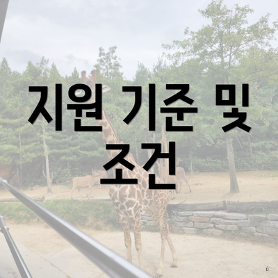 지원 기준 및 조건