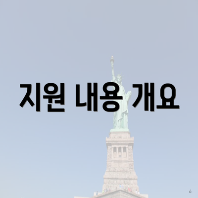 지원 내용 개요