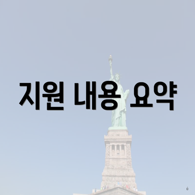지원 내용 요약