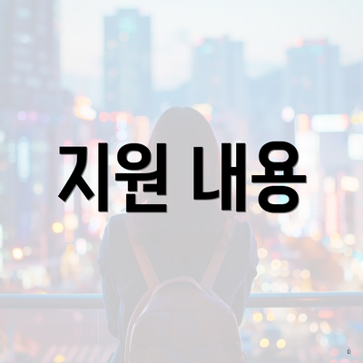지원 내용