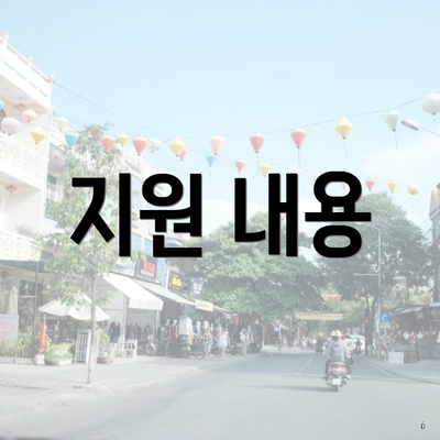 지원 내용