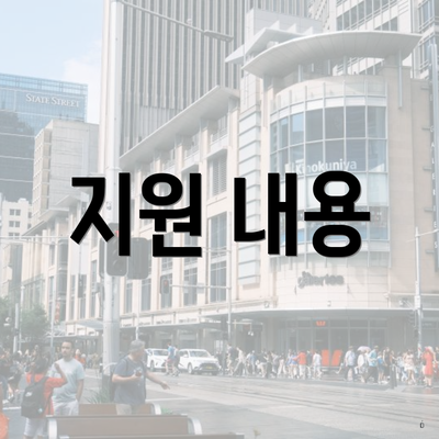 지원 내용