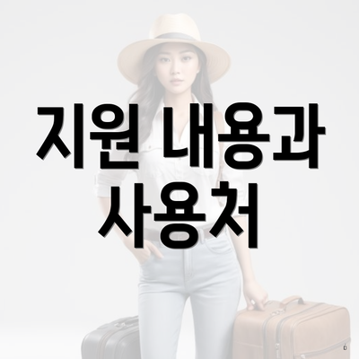 지원 내용과 사용처