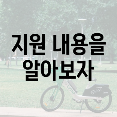 지원 내용을 알아보자