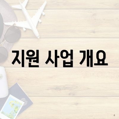 지원 사업 개요