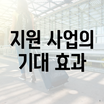 지원 사업의 기대 효과