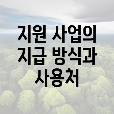 지원 사업의 지급 방식과 사용처