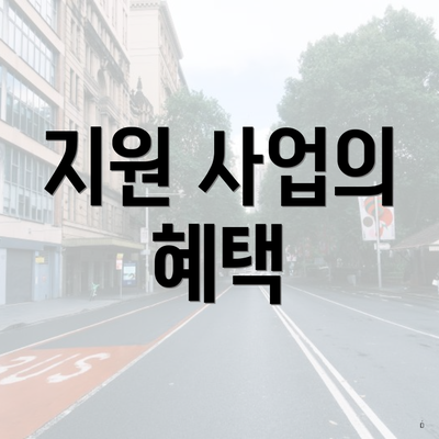 지원 사업의 혜택