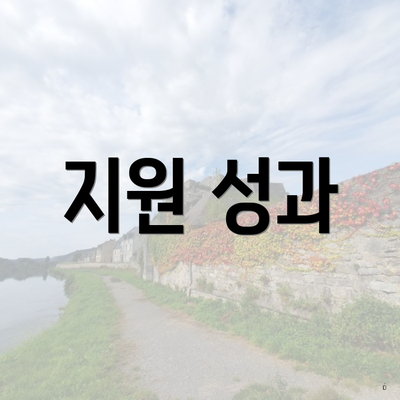 지원 성과