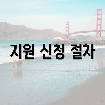 지원 신청 절차