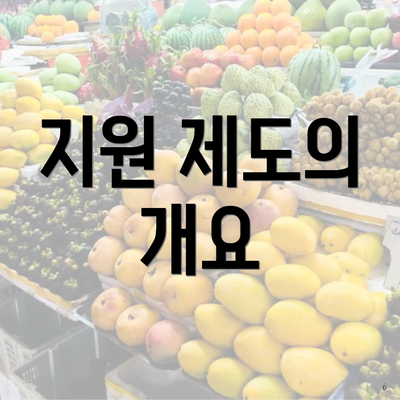 지원 제도의 개요