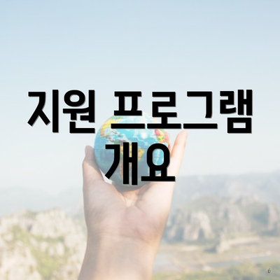 지원 프로그램 개요
