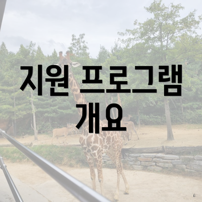 지원 프로그램 개요