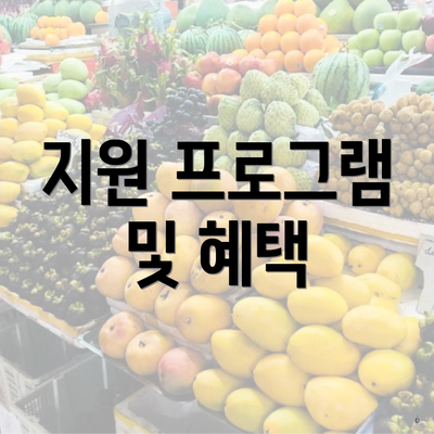 지원 프로그램 및 혜택