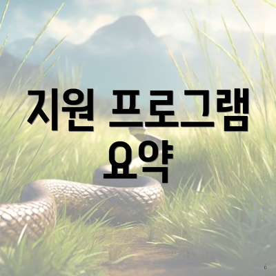 지원 프로그램 요약
