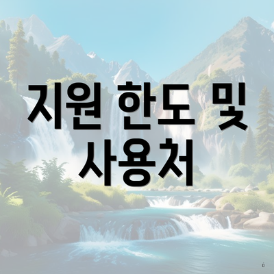 지원 한도 및 사용처