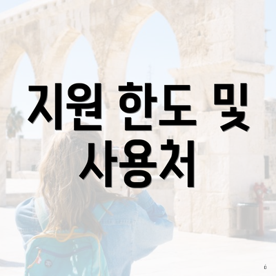 지원 한도 및 사용처