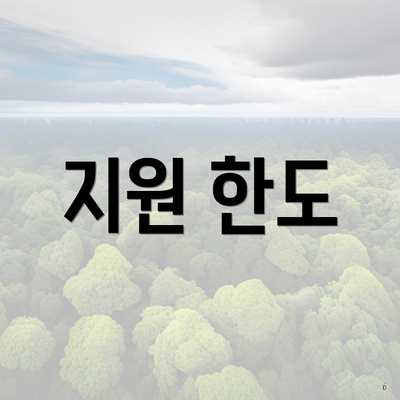 지원 한도