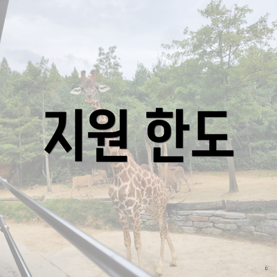 지원 한도