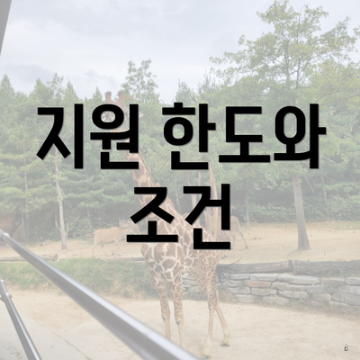 지원 한도와 조건