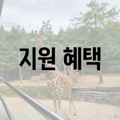 지원 혜택