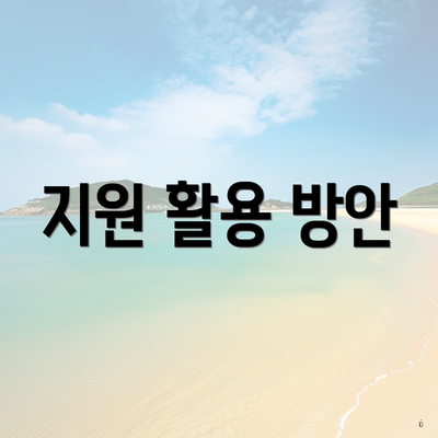 지원 활용 방안