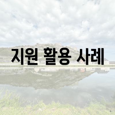 지원 활용 사례