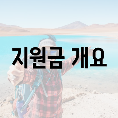 지원금 개요