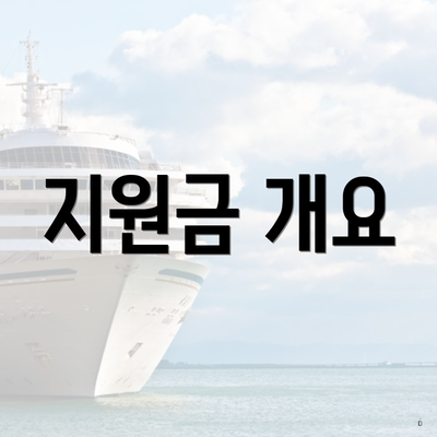 지원금 개요